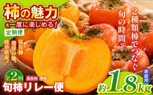 【全2回 定期便】旬柿 リレー便 家庭用 早秋 富有柿 ( 各7個 / 1.8kg )|【人気の銘柿を贅沢に食べ比べ！】 柿 フルーツ 果物 完熟 国産 季節の果物 家庭用 自宅用 加工用 料理用 大容量 岐阜県 本巣郡 北方町