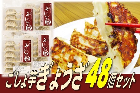 ごしょ芋 ぎょうざ 4パックセット（48個）ごしょ芋 菊芋 ギョウザ 餃子 4パック 冷凍 NPOくちない 特定非営利活動法人くちない 岩手県 北上市 B0367