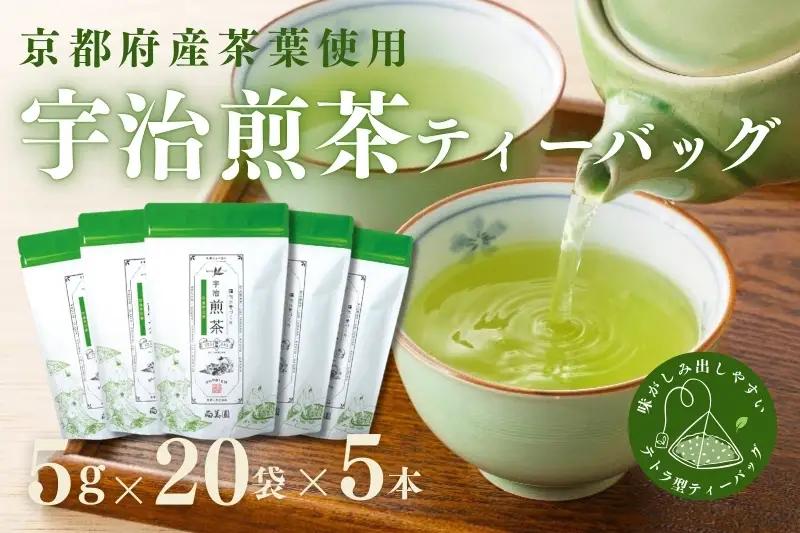 宇治・煎茶ティーバッグ 5g×20個×5袋 (煎茶 緑茶 ティーバッグ