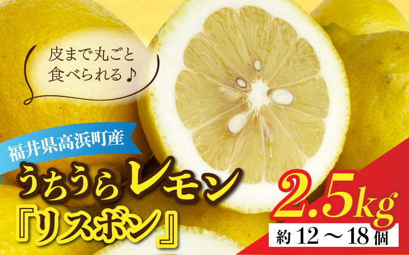 
【先行予約】日本海で育ったうちうらレモン「リスボン2.5kg」皮まで丸ごと食べられます！（農薬不使用）【12月下旬より順次発送】
