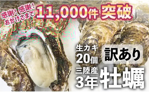 【12月前半お届け】三陸産 『 殻付き牡蠣 (生食用)』20個 【訳あり/規格外品】※感謝！ 11,000件突破！【 訳あり 天然 牡蠣 かき 殻付き 生食 焼き牡蠣 蒸し牡蠣 人気 国産 陸前高田 三陸産 広田湾産 小友 マルテン水産 】