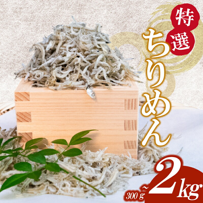 【ふるさと納税】 特撰 かちり 300g 500g 1kg 2kg 選べる容量 梱包 TKM016