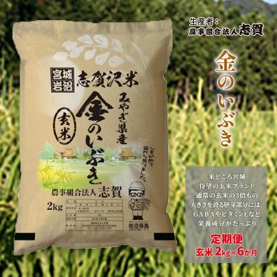ふるさと納税 岩沼市 【令和7年産新米】【6ヶ月定期便】玄米 金のいぶき 2kg [No.5704-0804]