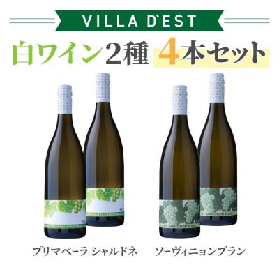 ふるさと納税 東御市 白ワイン 辛口 2種4本 セット(プリマベーラ シャルドネ &amp;ソーヴィニョン ブラン)