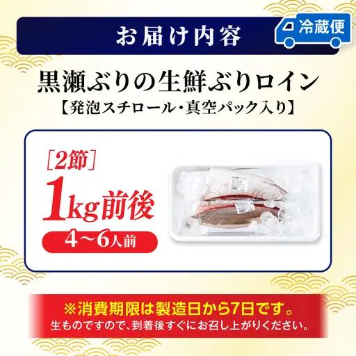 ＜2026年9月発送分＞活じめ！黒瀬ぶりの生鮮ブリロイン2節（1.0kg前後）_K001-012-2609