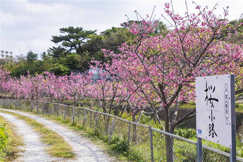 沖縄県北中城村　ANAトラベラーズホテル割引クーポン（30,000点分）
