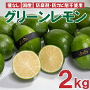 【ふるさと納税】【早期予約】 レモン グリーンレモン 12個 2kg 程度 種無し 有機栽培 無農薬 国産 マーマレイド レモンスカッシュ 高知県 須崎市