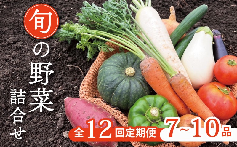 
                  【定期便12回】野菜セット 7~10種  定期便 スペシャルコース お野菜の定期便 野菜定期便 野菜セット 野菜詰め合わせ 京野菜 野菜 やさい 冷蔵 セット 季節 旬 自然 詰合せ おまかせ 12ヶ月 12回 鍋 鍋セット 希少 新鮮 春野菜 夏野菜 秋野菜 冬野菜 人気 ランキング お取り寄せ ふるさと納税 京都 京都府
                