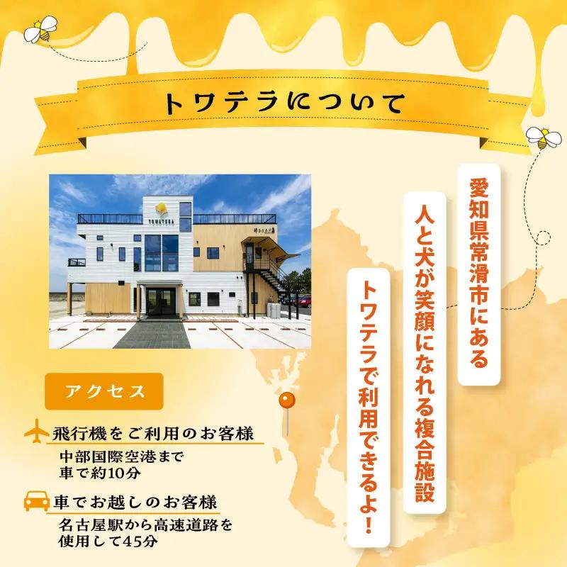 【TOWATERAメンバーズ】ドッグラン、ペットホテルなどをお得に利用できる「トワるん」会員入会| ペット 常滑市