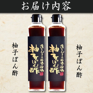 ゆずポン酢 300ml×2本 セット ポン酢
