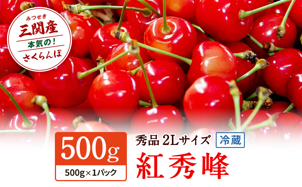 職人が本気で作ったこだわりのさくらんぼ！秋田県三関（みつせき）産【令和8年産先行予約】 さくらんぼ 紅秀峰2Lサイズ (500g×1P) 冷蔵 朝採れ 産地直送 【6月下旬から発送開始予定】 ふるさと納税 さくらんぼ 果物 [B6-3203]