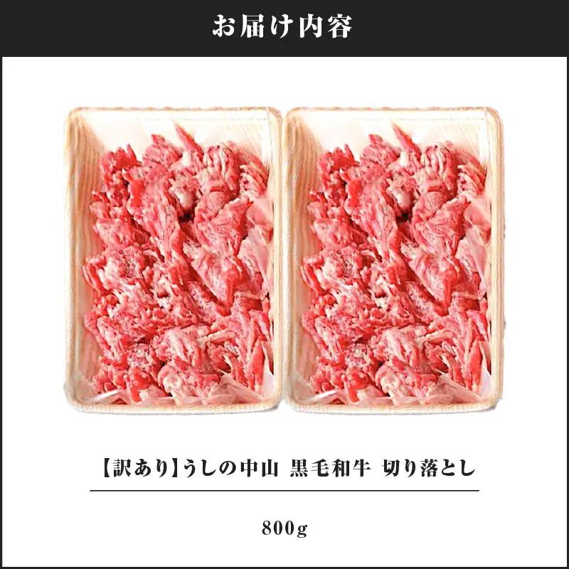 2232-1 【訳あり】うしの中山 黒毛和牛 切り落とし 800g KN050-031 肉 牛 和牛