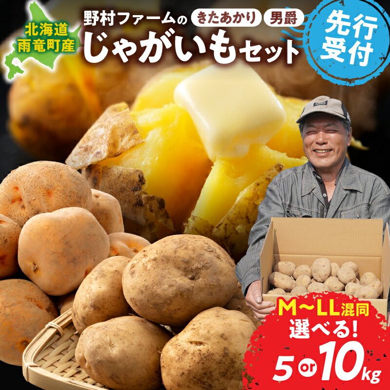 【ふるさと納税】【先行予約】北海道産 じゃがいも食べ比べセット 「きたあかり・男爵」 5kg 10kg ジャガイモ 栗じゃが ホクホク 甘いじゃがいも サイズ混同 煮崩れしやすい 秋野菜 季節野菜 直送農場 なめらかな口当たり ジャガイモ 芋 いも 北海道 雨竜町 送料無料