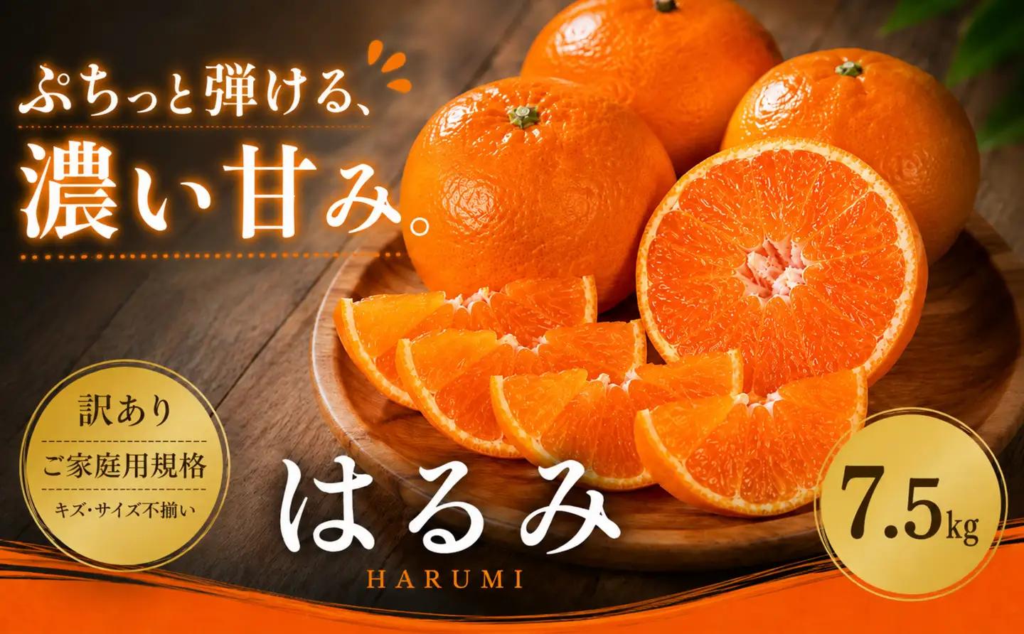＜訳あり 愛媛県産はるみ 合計約7.5kg＞『2027年2月上旬～3月下旬迄に順次出荷予定』甘い ご家庭用 果汁 果物 くだもの フルーツ みかん オレンジ 柑橘 人気柑橘 特産品 株式会社OSN 愛媛県 西予市 【常温】OOS0019