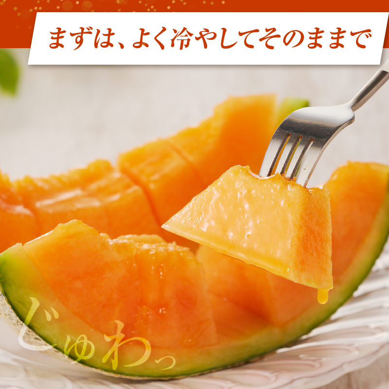 夏用 先行予約≪期間限定≫都農町産「赤肉メロン」計2玉 フルーツ 果物 デザート 国産_T015-0065-N