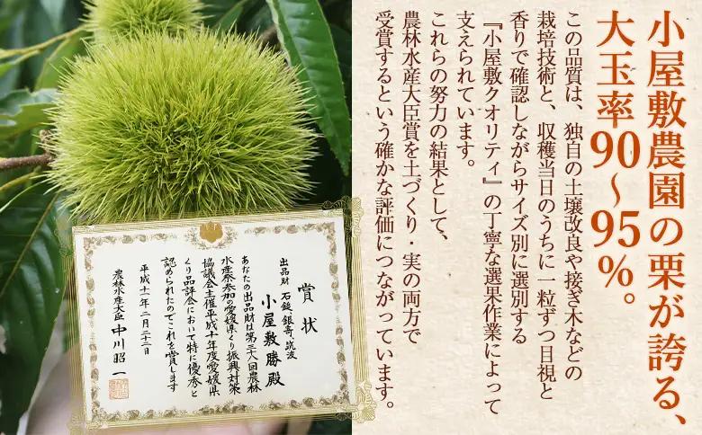 ＜大粒生栗＆むき栗 合計約2.34kg＞『9月上旬から順次出荷予定』 和栗 生栗 くり おおつぶ 大きい 甘い 新鮮 栗ごはん 栗きんとん 剥き栗 甘露煮 旬 国産栗 お取り寄せ 旬 特産品 国産 秋