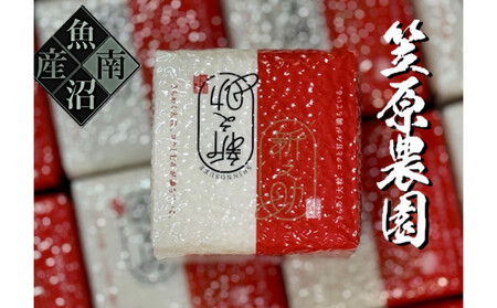 【令和７年産】南魚沼産 笠原農園米 新之助　２合真空パック２０個