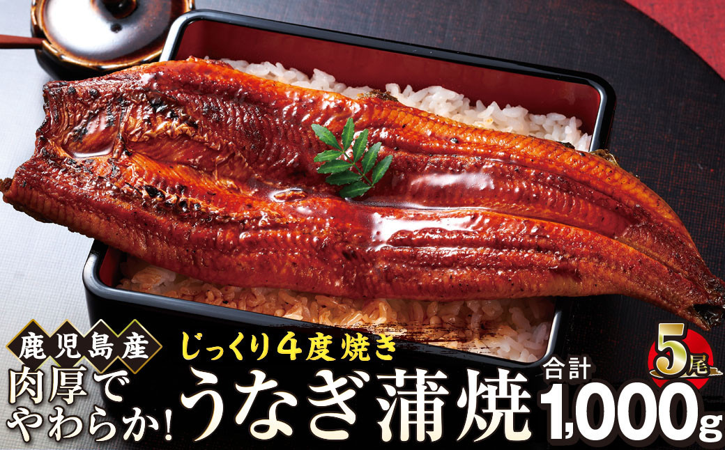 うなぎ 蒲焼 200g×5尾【鹿児島産】地下水で育てた絶品鰻 464686_AQ128