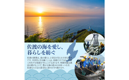 鮭〈先行予約2026年2月発送・佐渡水揚げ限定〉【新潟県佐渡】日本海の宝・佐渡から届く、極上の海の幸　漬魚　佐渡産の鮭と佐渡の伝統的な3種の味付け　焼き上げ加工済み　湯せん・レンチンでお手軽　食卓で本