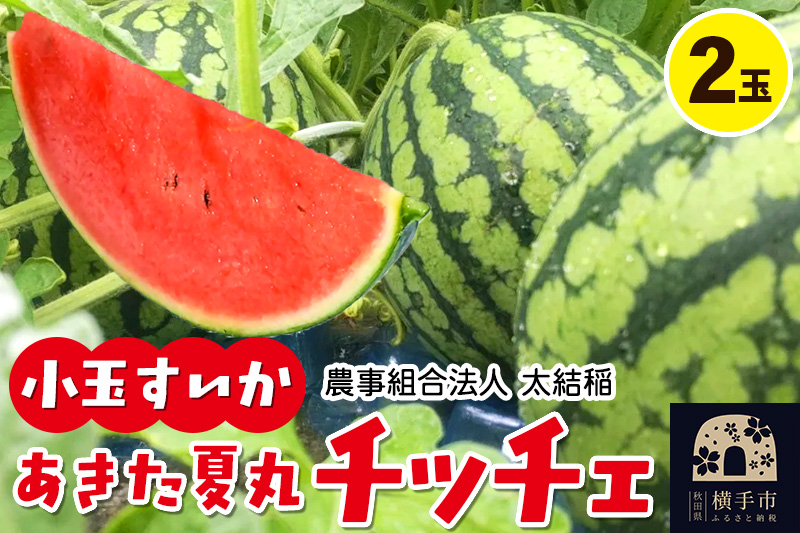 小玉すいか『あきた夏丸チッチェ』秋田県産 約2.1kg〜2.7kg×2玉
