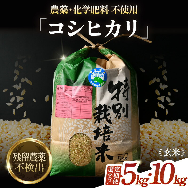 【ふるさと納税】【先行予約】【選べる年産：令和8年産 / 令和9年産】コシヒカリ 玄米 5kg 10kg 定期便 3回 6回 12回 特別栽培米 農薬不使用 化学肥料不使用 ／ 5キロ 10キロ 高品質 鮮度抜群 福井県産 ブランド米 【R8：2026年9月下旬～発送】【R9：2027年9月下旬～発送】