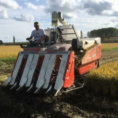 ふるさと納税 鷹栖町 栽培期間中農薬不使用　令和7年産 ゆめぴりか・無洗米24kg(真空パック) |  | 03