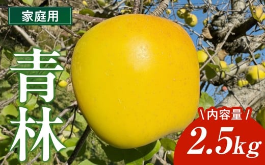 ＼ 11月下旬発送予定 ／  青林 家庭用 2.5kg 林檎 リンゴ 国産 産地直送 フルーツ 果物 岩手県 北上市 C0607 金鈴園