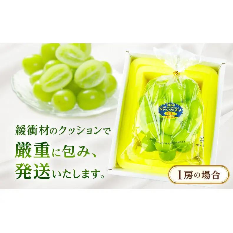 シャインマスカット 晴王 岡山県船穂産 シャインマスカット【1房 約600g】【先行予約】