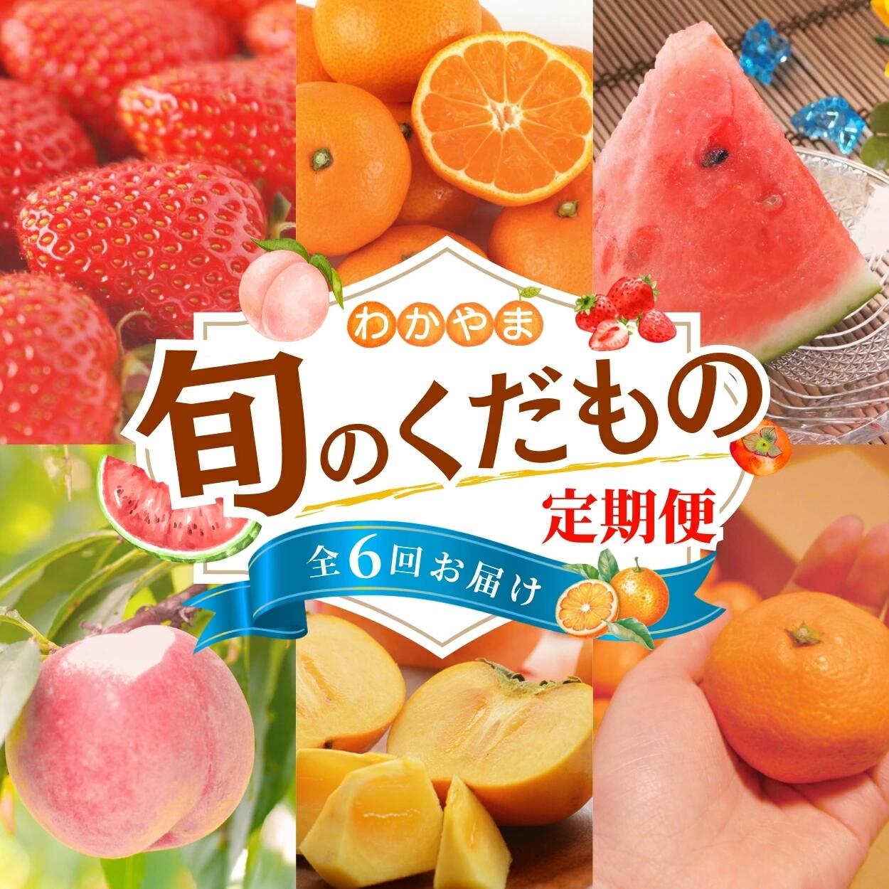 【ふるさと納税】わかやま旬のくだもの定期便 全6回【S】家庭用含む（配送日時指定不可）※北海道・沖縄・離島への配送不可 / 定期便 フルーツ いちご イチゴ 清見オレンジ すいか 桃 柿 みかん 6回