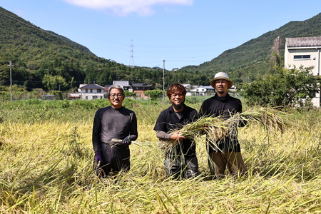 【令和7年産丹波篠山産】コシヒカリ 精米 10kg こしひかり DP01