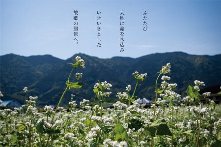くるめほとめきのそば 10袋_くるめ ほとめき そば 80g × 2束 × 10袋 計 1600g パンフレット 化粧箱 付き 地元 農家 自慢 一品 石臼挽き 5割 使用 つなぎ こだわり 福岡県産