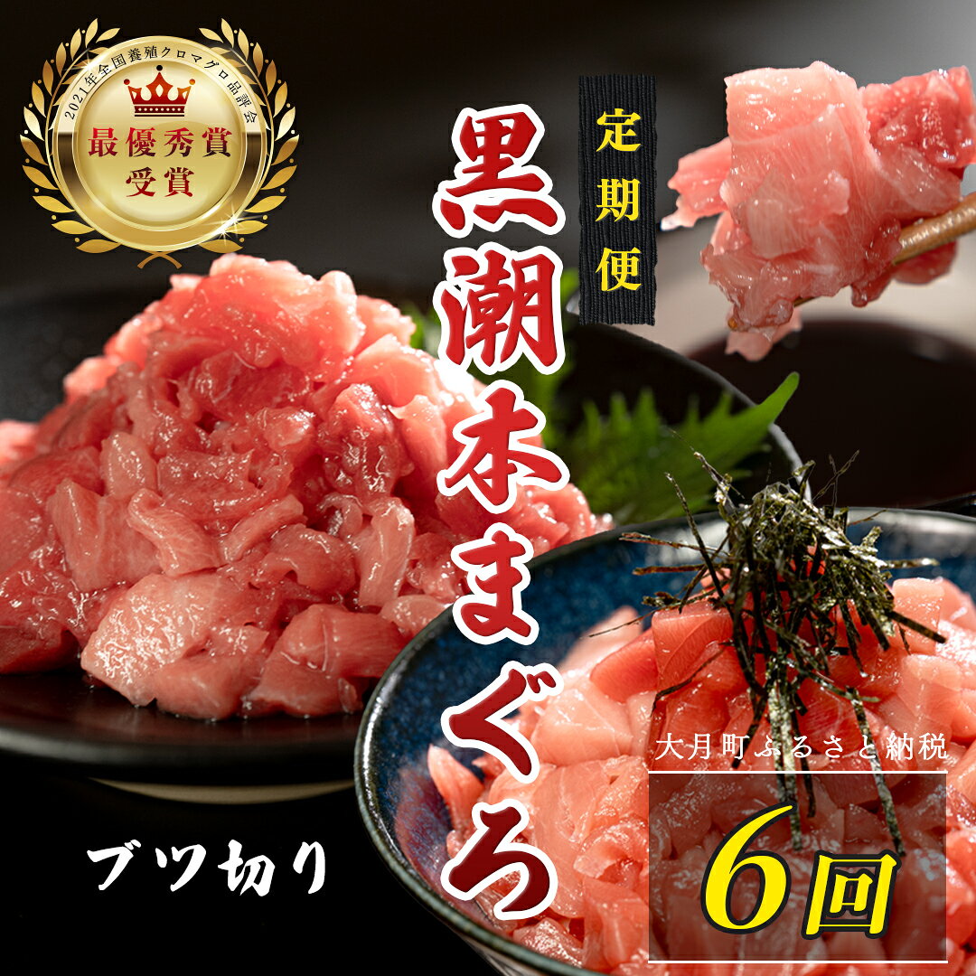 【ふるさと納税】 訳あり 不定貫 定期便 6回 国産 養殖本マグロ ブツ切り 毎回300g×6回 黒潮本まぐろ 最優秀賞受賞 6ヶ月 6か月 半年 柵 刺身用 本マグロ 本鮪 鮪 まぐろ お刺身 さしみ ぶつ切り ネギトロ たたき ユッケ 冷凍 5万円