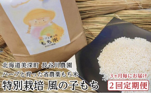 
                  ［先行予約/11月発送開始］3ヶ月毎にお届け［2回定期便］ハーブと育った省農薬の特別栽培もち米「風の子もち」5kg×1【北海道美深町】長谷川農園【 もち もち米 餅 餅米 】 [№5894-0419]
                