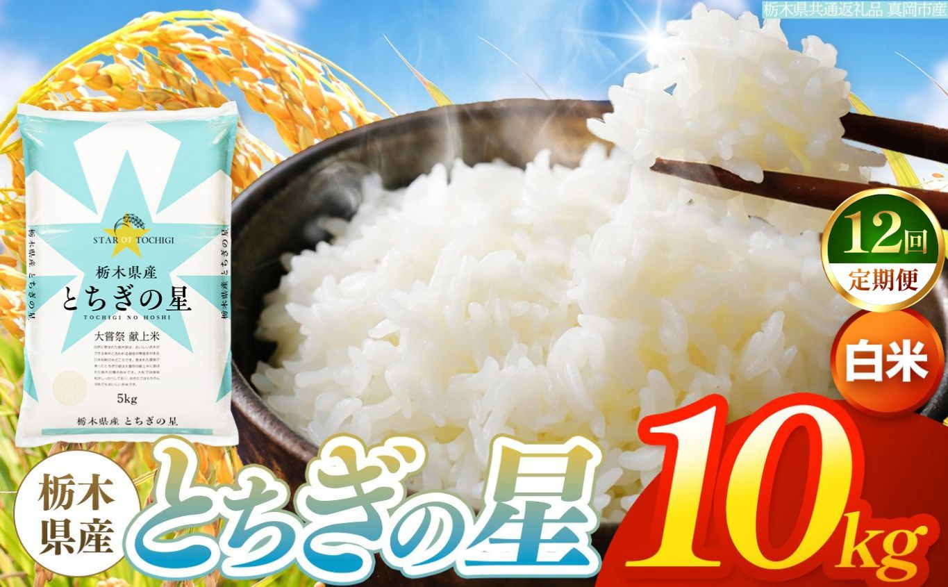 【令和8年産 新米】 【定期便12回】栃木県産 お米 とちぎの星　（白米） 10kg 【2026年秋以降発送】 |  栃木県 矢板市 【栃木県共通返礼品 真岡市産】