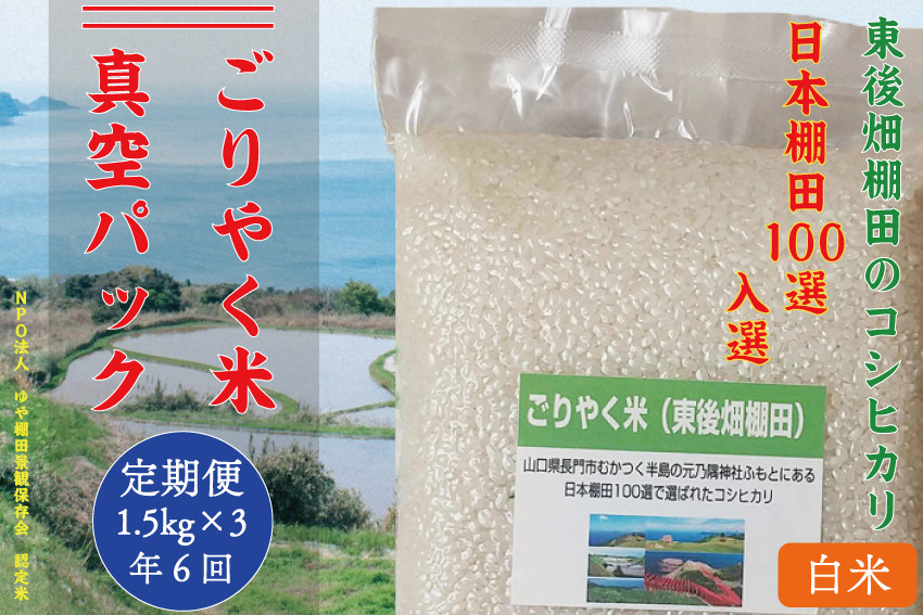 
            【予約受付】令和7年度産 定期便 米 毎月6回配送 白米  こしひかり コシヒカリ 真空 小分け ごりやく米 白米4.5kg (白米真空パック1.5kg×3個) 棚田米 長門市 お米の定期便 
          