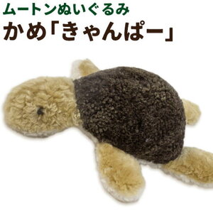 ムートン ぬいぐるみ かめ きゃんぱー 有限会社クラフトワークス《30日以内に出荷予定(土日祝除く)》大阪府 羽曳野市 プレゼント インテリア 羊 羊毛 st-p
