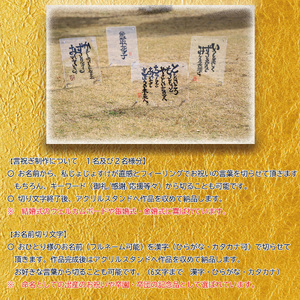 切り文字作品【言祝ぎ（ことほぎ）】（お名前２名様分・アクリルフレ－ム付）（049_5003）