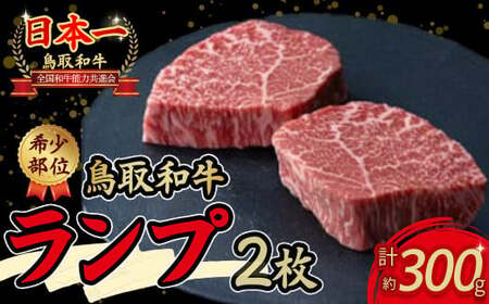 鳥取和牛　希少部位ステーキ「ランプ」（300g） 牛肉 和牛 鳥取和牛 ブランド和牛 黒毛和牛 ステーキ ランプステーキ 和牛ステーキ 国産ステーキ ランプ