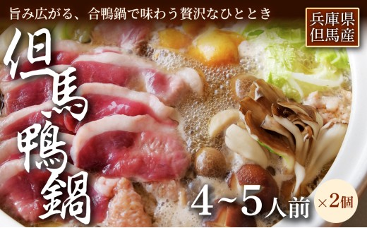 【締めまでしっかり楽しめる】「但馬鴨鍋」うどん付4～5人前　2セット　お中元、お歳暮、快気祝い、残暑御見舞、敬老の日、御見舞、祝還暦、御祝、父の日、母の日、無地、鍋セット 大容量 鴨肉 鴨だし 出汁を楽しむ お取り寄せ 鍋料理 冬 家族 団らん パーティー 簡単調理 手軽ごはん 家庭用 ギフト 贈答用 人気 兵庫県 美方郡