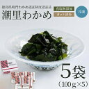 【ふるさと納税】 わかめ 国産 500g 100g × 5袋 カットわかめ 徳島県 鳴門 わかめ 米 こめ 味噌 汁 潮里わかめ 湯通し 冷凍わかめ カット 食塩 無添加 個包装 手間いらず なし お手軽 調理 料理 潮里