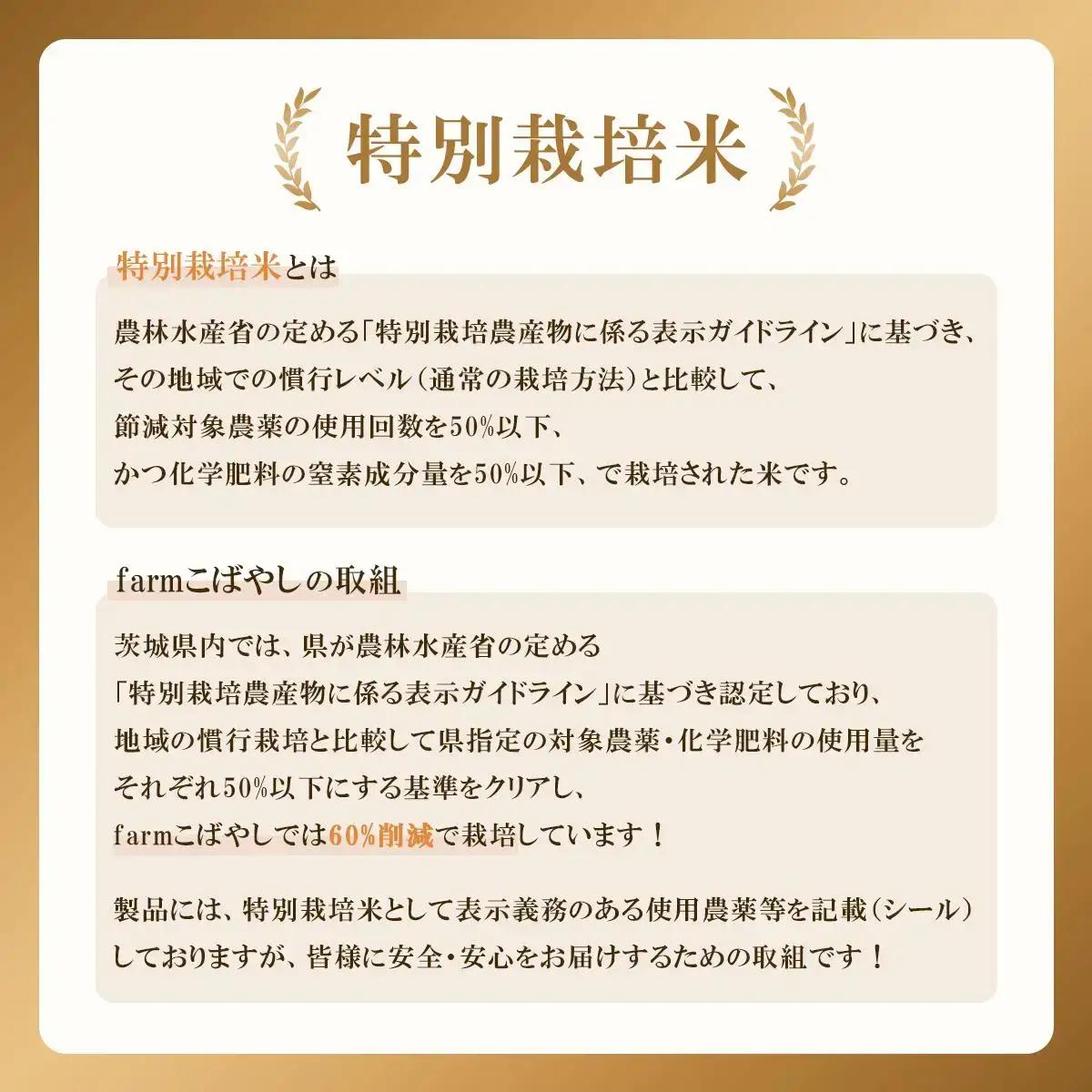 ミルキークイーン 白米 2kg 3月出荷 真空パック