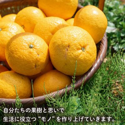 ふるさと納税 糸島市 【全3回定期便】農香 ばぁむ クリーム わかまつ農園 [AHB026] |  | 03