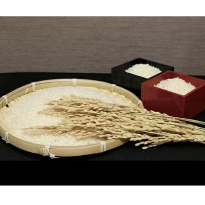 ふるさと納税 西脇市 【毎月定期便】兵庫県産 コシヒカリ(白米) 10kg全6回 |  | 02