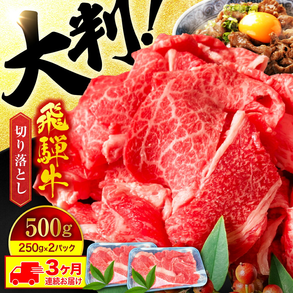 【ふるさと納税】【3回定期便】A5ランク 飛騨牛 切り落とし 500g（250g×2）総計1.5kg【有限会社マルゴー】[MBE029]