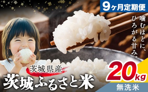 米 茨城 ふるさと米 無洗米 20kg 5kg×4袋 9ヶ月定期便 9回お届け 定期便《申込月の翌月より出荷》茨城県 結城市 米 国産 お米 おこめ お弁当 おにぎり