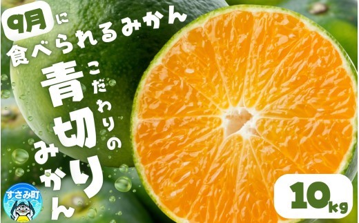 
                  【2026年秋頃発送予約分】【農家直送】こだわりの青切りみかん 約10kg  有機質肥料100%　 サイズ混合　※2026年9月下旬より順次発送予定（お届け日指定不可）【nuk108F】
                