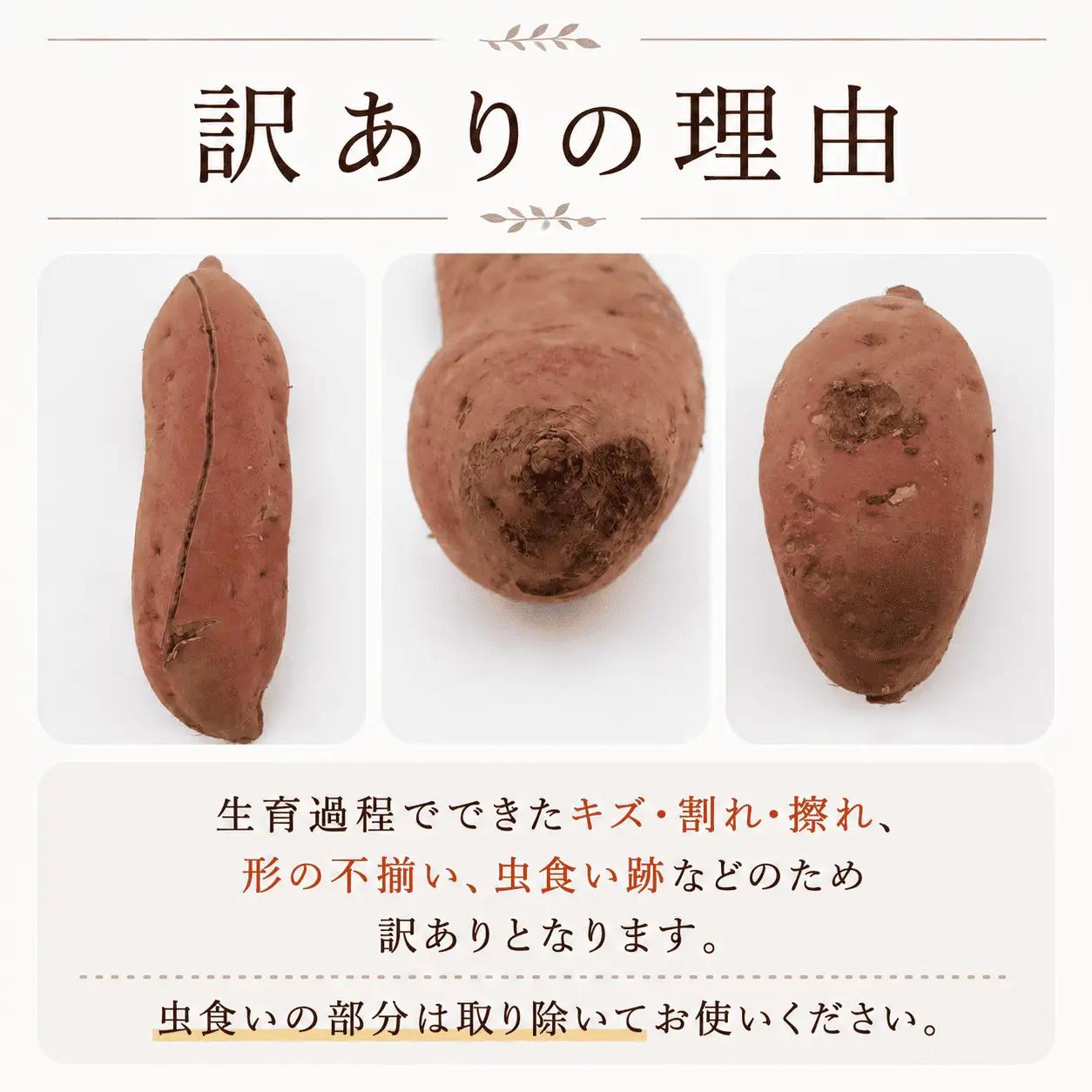 訳あり さつまいも 紅はるか 約10kg さつまいも