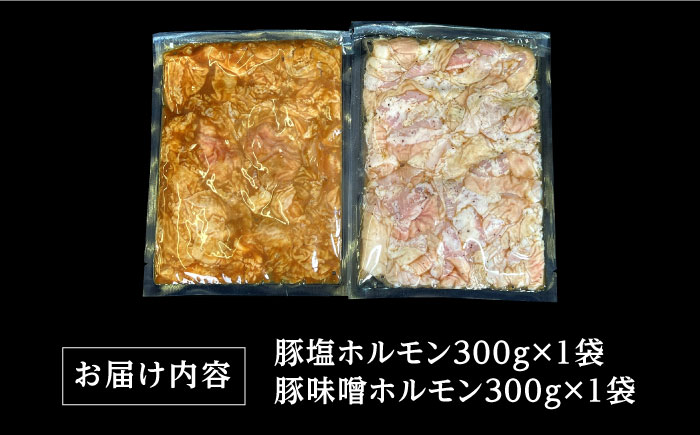 	 ホルモン 塩焼き・ニンニク味噌焼きセット 計600g (300g×2種) / 肉 豚肉 直腸 豚テッポウ 希少部位 国産 / 南島原市 / はなぶさ [SCN136]