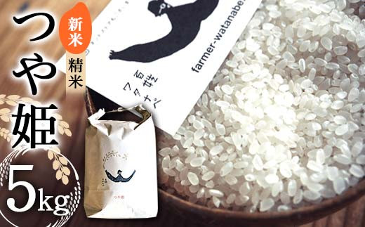 【令和8年産 新米 先行予約】 特別栽培米 つや姫 (精米) 5kg 