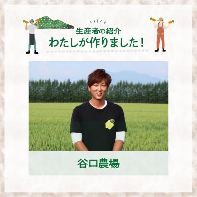 ふるさと納税 芽室町 【先行受付】【10月上旬より発送】北海道十勝芽室町 なまら十勝野 芽室町産にんじん5kg |  | 02